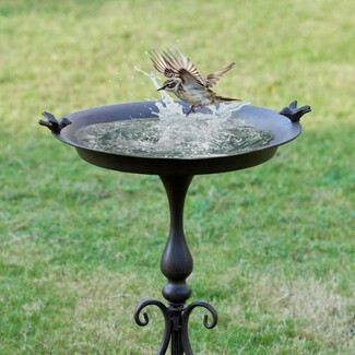 Bird Bath Antique Bronze Scroll Base with Decorative Rim