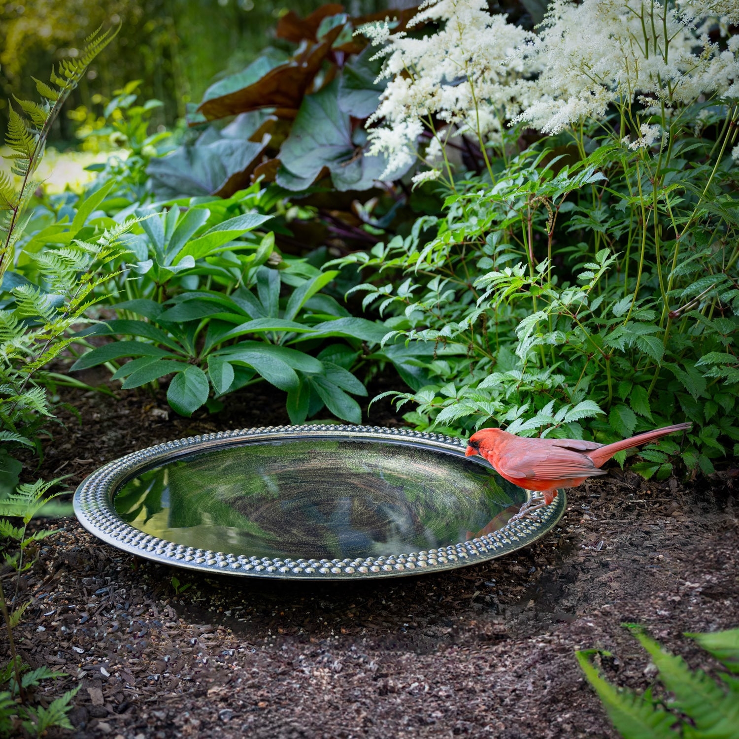 Bird Bath Ground Placement Metallic Silver Beaded Rim Bowl
