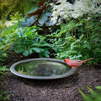 Bird Bath Ground Placement Metallic Silver Beaded Rim Bowl