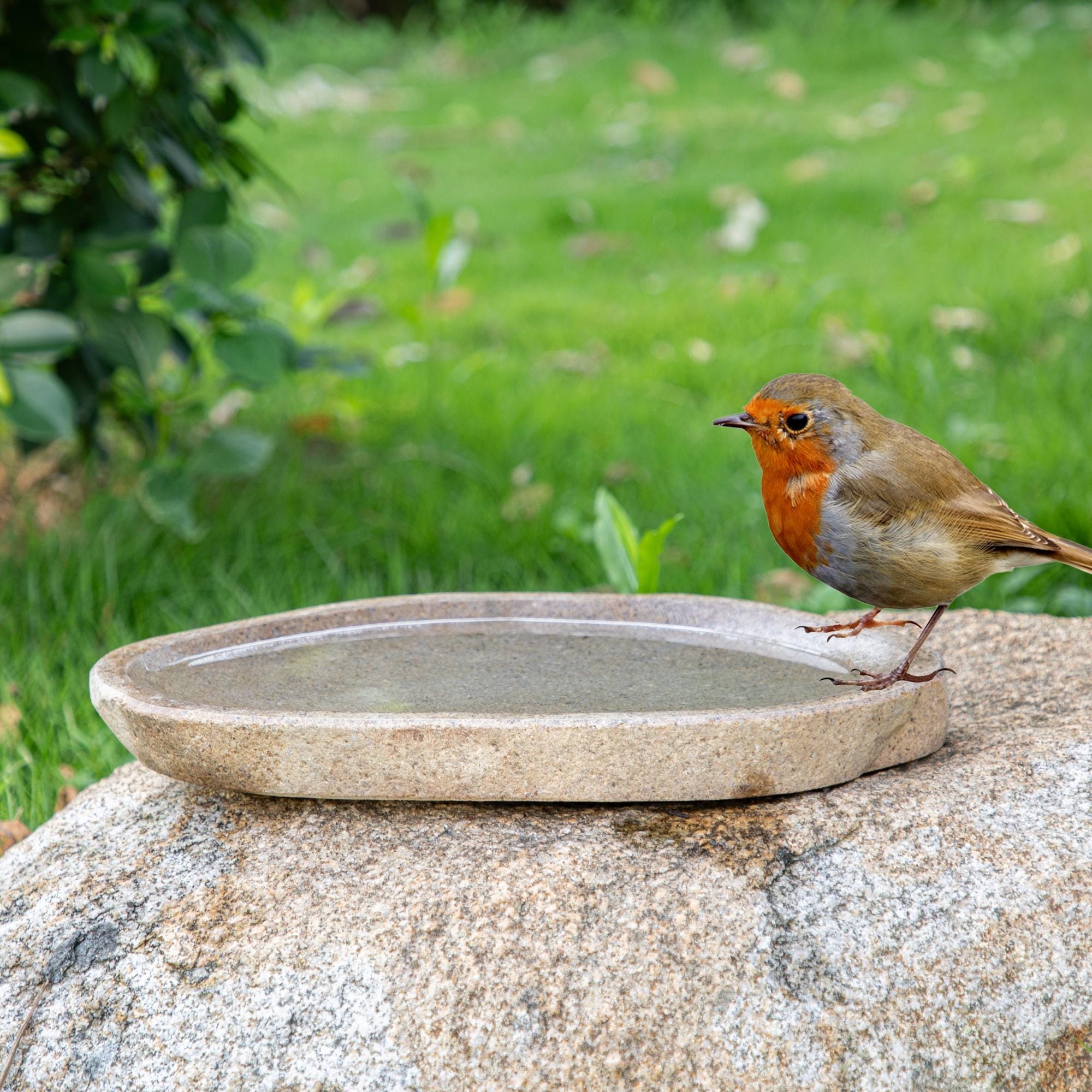 Bird Bath Organic Shape: Low Profile Minimalist Stone Bowl