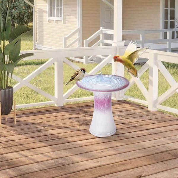 Bird Bath Pink Ombre: Glossy Glaze Stylish Pedestal Design