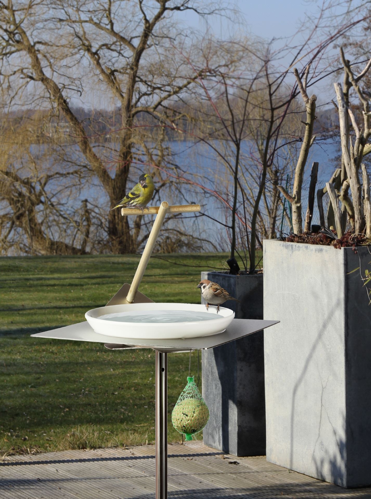 Bird Bath Station: Architectural Metal with T-Shaped Perch