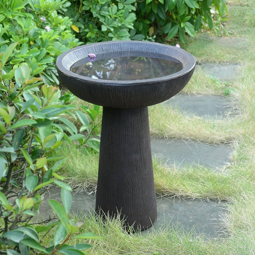 Bird Bath Wood Grain Pattern Basin with Radial Texture