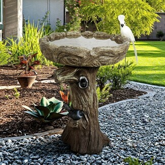 Birdbath Rustic Faux Bois Texture Tree Trunk Pedestal
