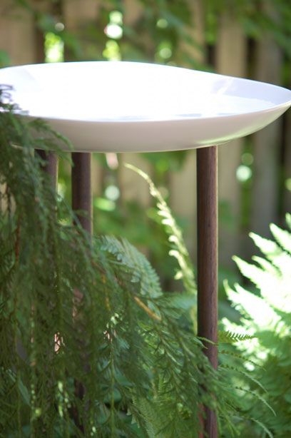 Birdbath Shallow White Basin and Minimalist Dark Wood Legs