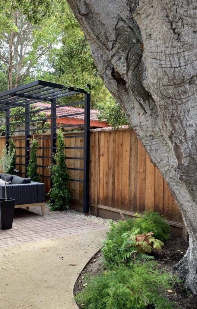 Cantilevered Pergola in Matte Black Metal Garden Structure