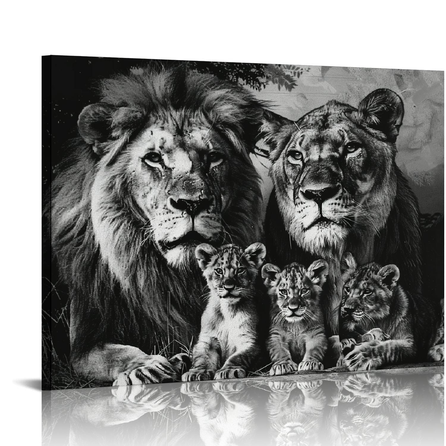 Canvas Wall Art Lion Family Grouping Mirror Reflection