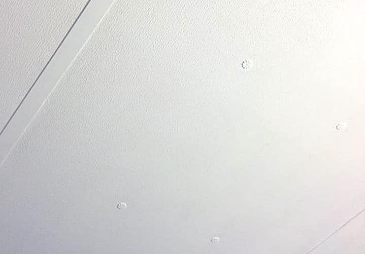 Ceiling Panel: Rosette Screw Covers and Textured Style