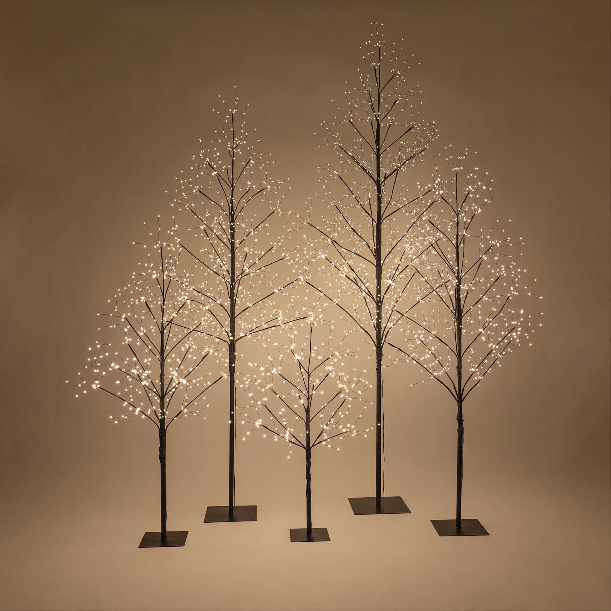 Decorative Tree Matte Black Multi Height Set Minimalist LED