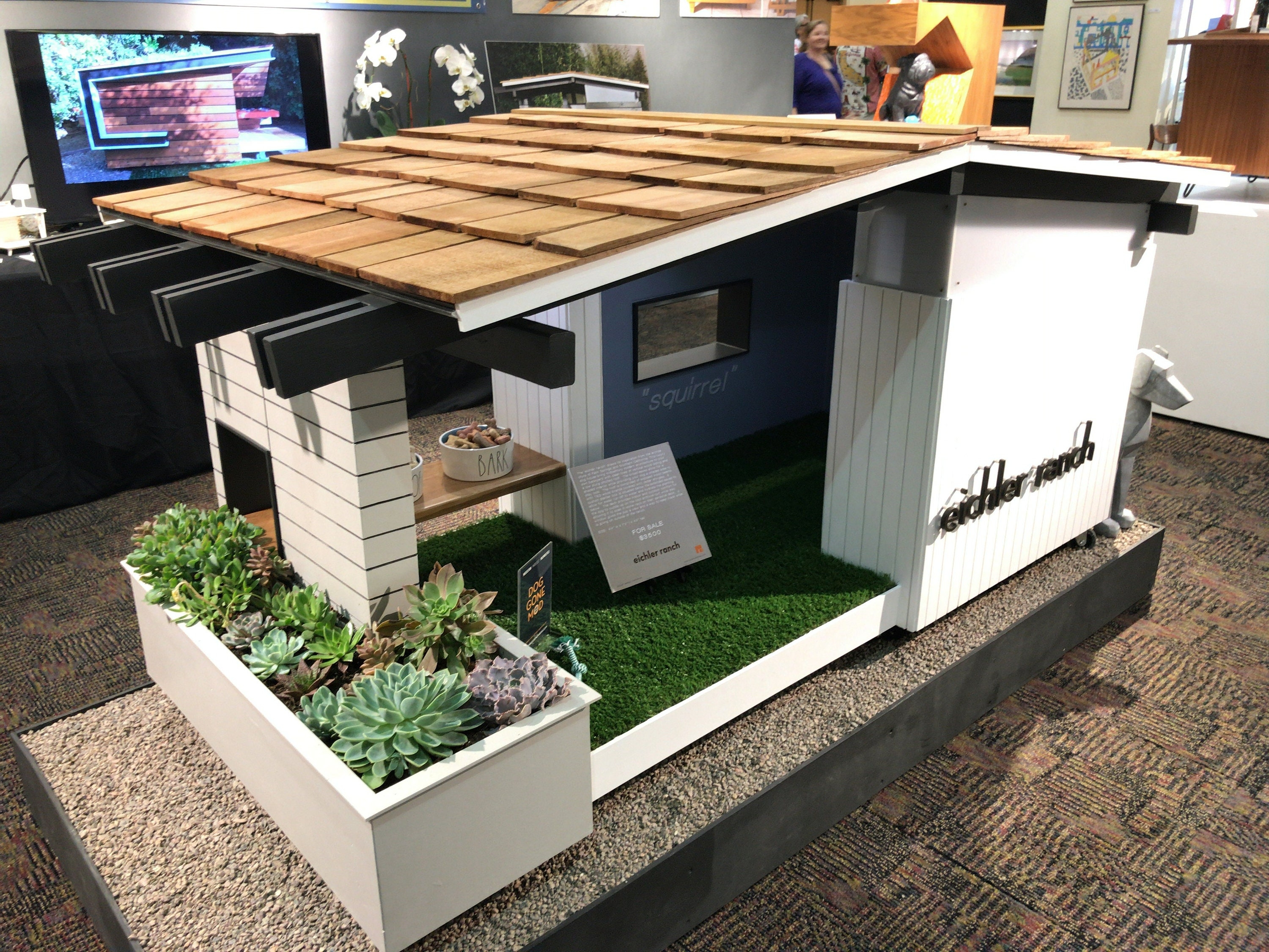 Dog House: Exposed Rafters and Succulent Planter Eichler Ranch Pet Home