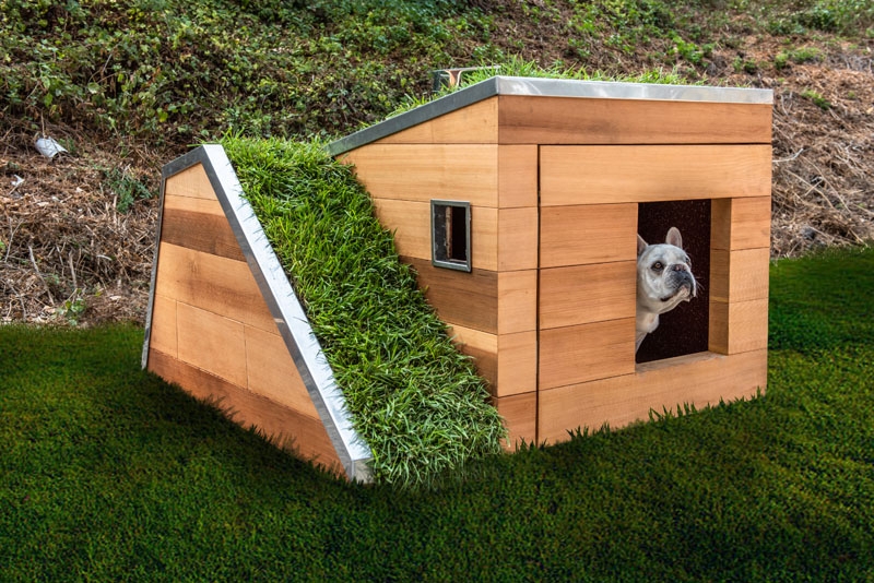 Dog House: Living Green Roof Sustainable Pet Architecture