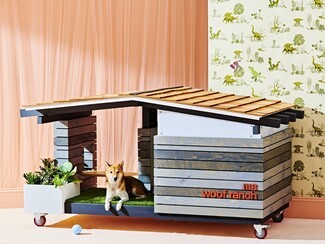 Dog House: Mobile Locking Casters and Slate Blue Mid-Century Dog Ranch