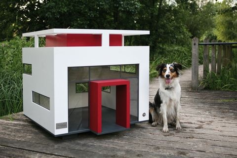 Dog House: Red Entryway and Glass Facade Bauhaus Style Pet Kennel