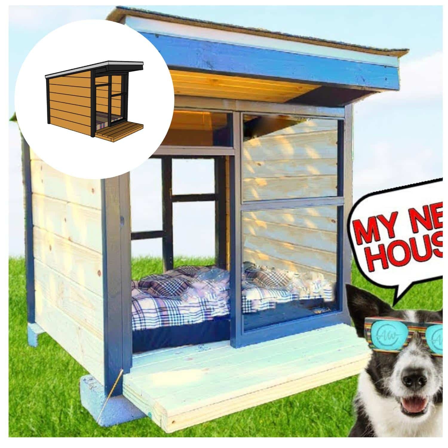 Dog House: Royal Blue Panoramic Window Modern DIY Dog House Plans