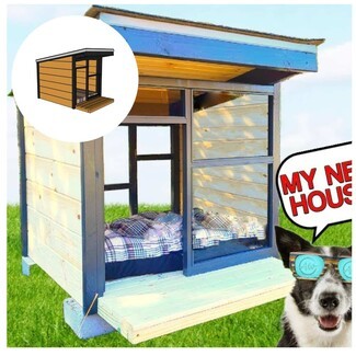 Dog House: Royal Blue Panoramic Window Modern DIY Dog House Plans