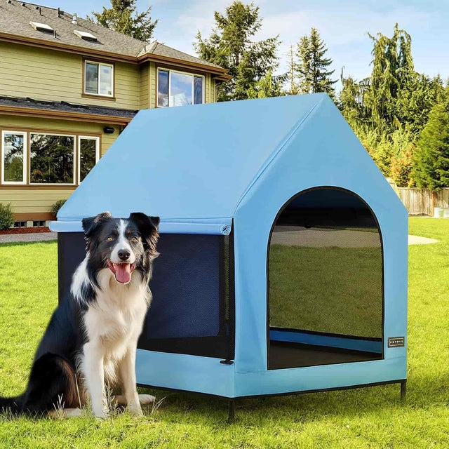 Dog House: Sky Blue Elevated Portable Dog House with Mesh Ventilation