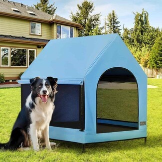 Dog House: Sky Blue Elevated Portable Dog House with Mesh Ventilation