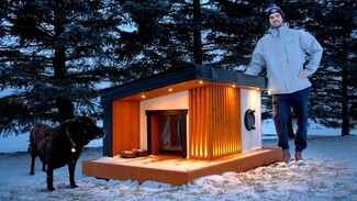 Dog House: Slatted Wood and Porthole Window Architectural Pet Shelter