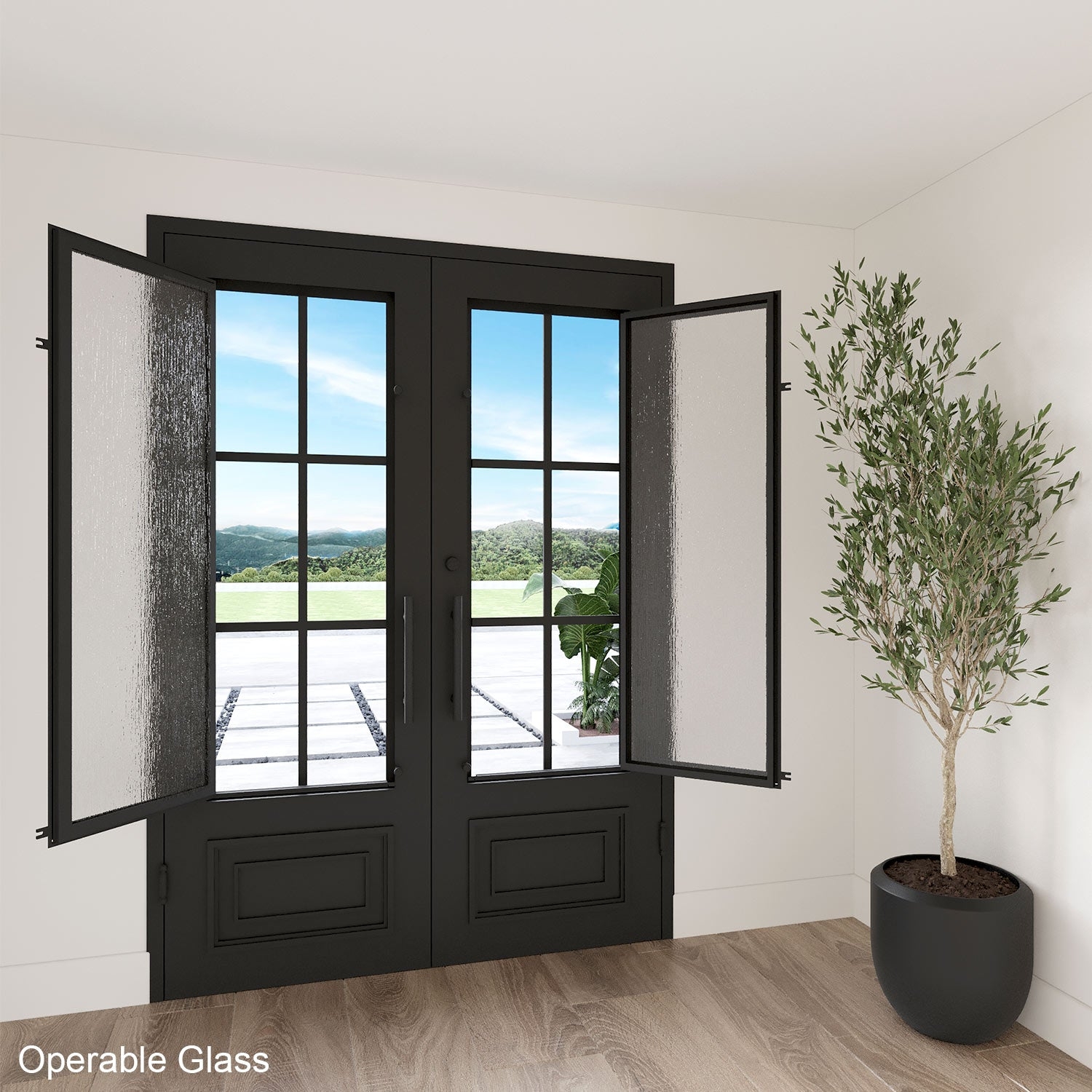 Double Entry Door Rain Glass Operable Glass Iron Door