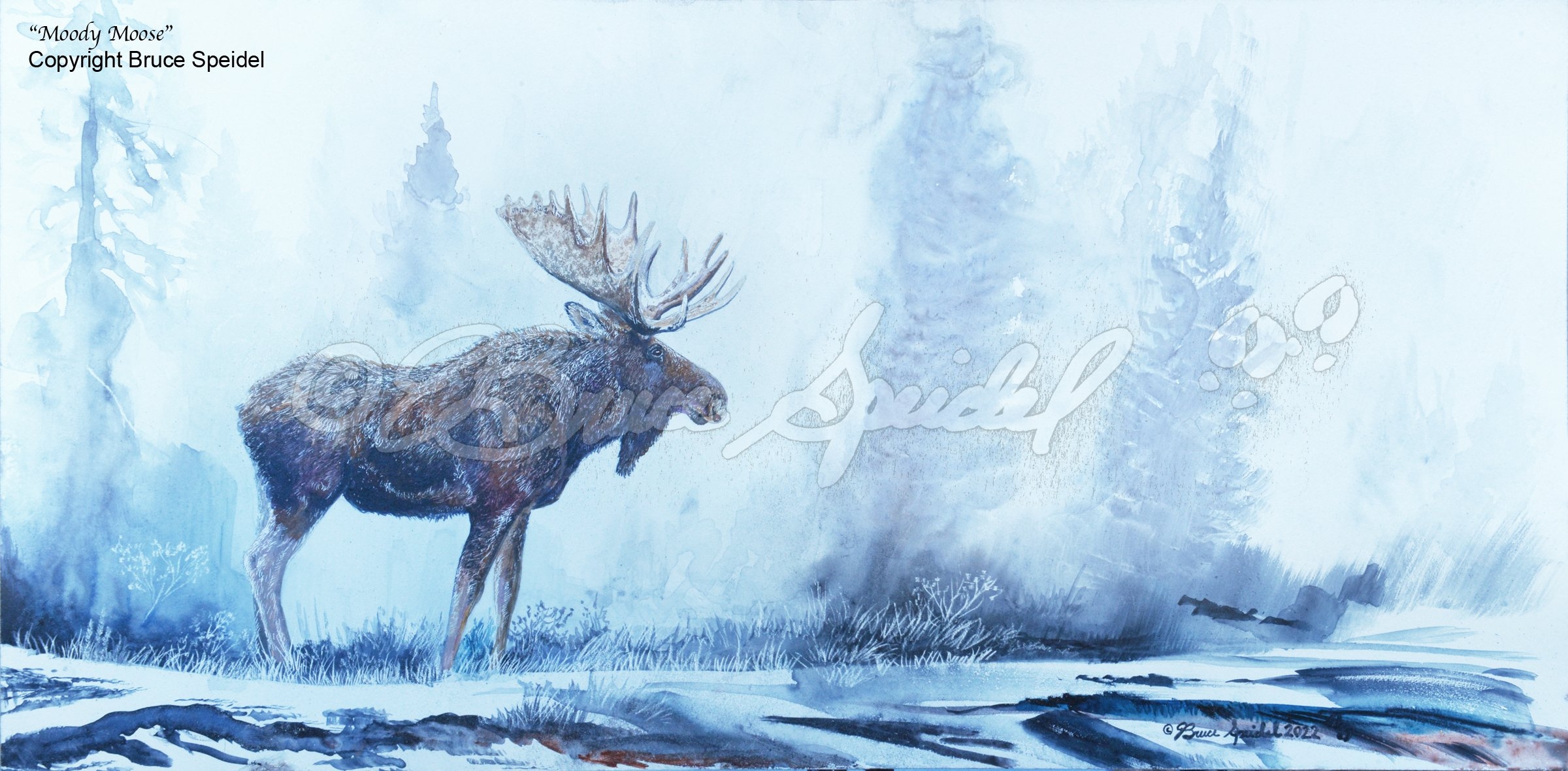 Fine Art Print Icy Blue Palette Moody Moose Wildlife Art