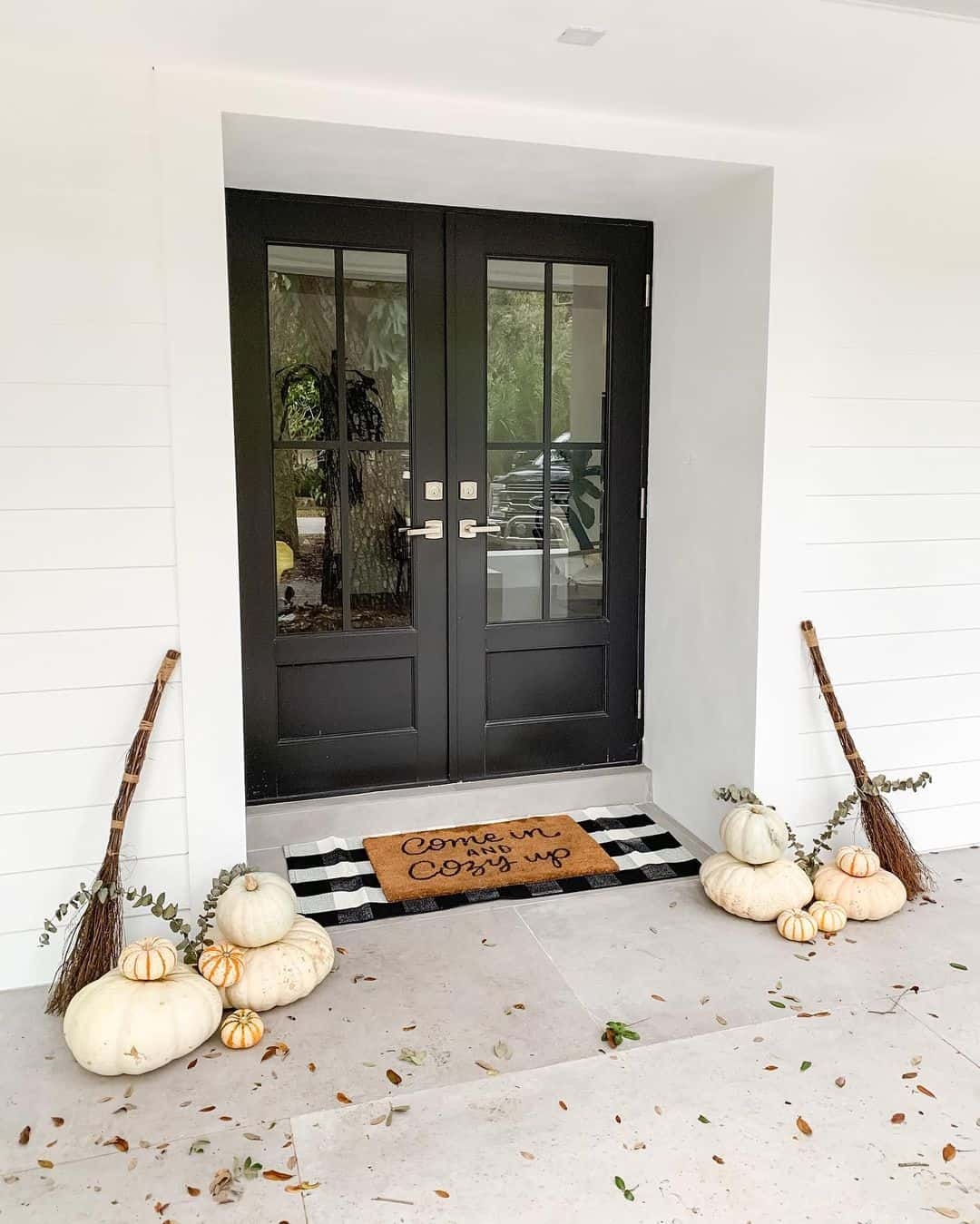 French Doors Six-Lite Design Transitional Farmhouse Entryway Ideas