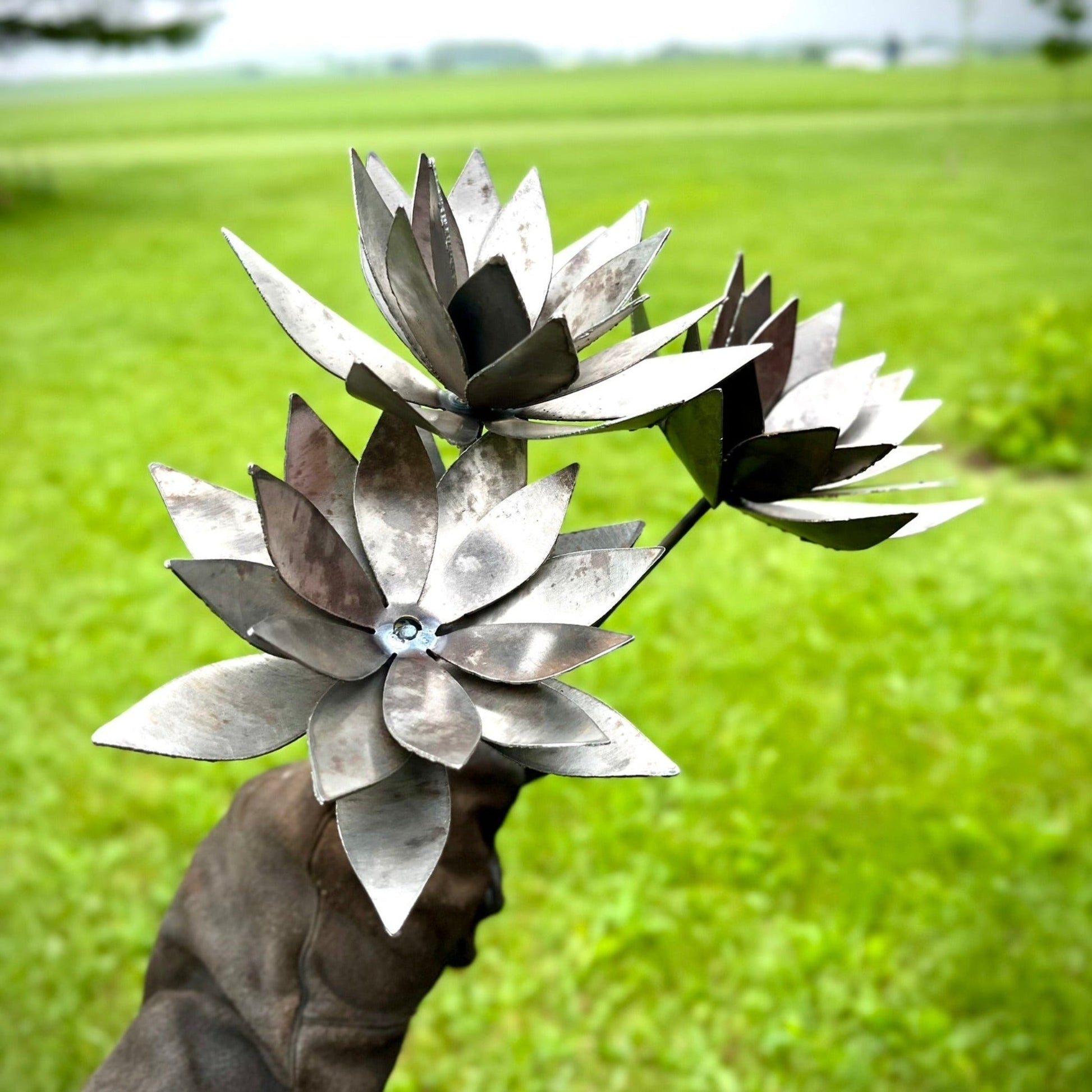 Garden Sculpture: Raw Industrial Finish Lotus Blooms