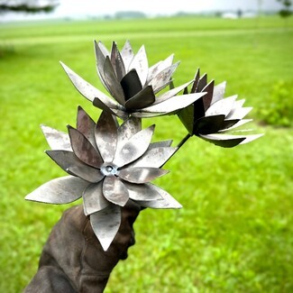Garden Sculpture: Raw Industrial Finish Lotus Blooms