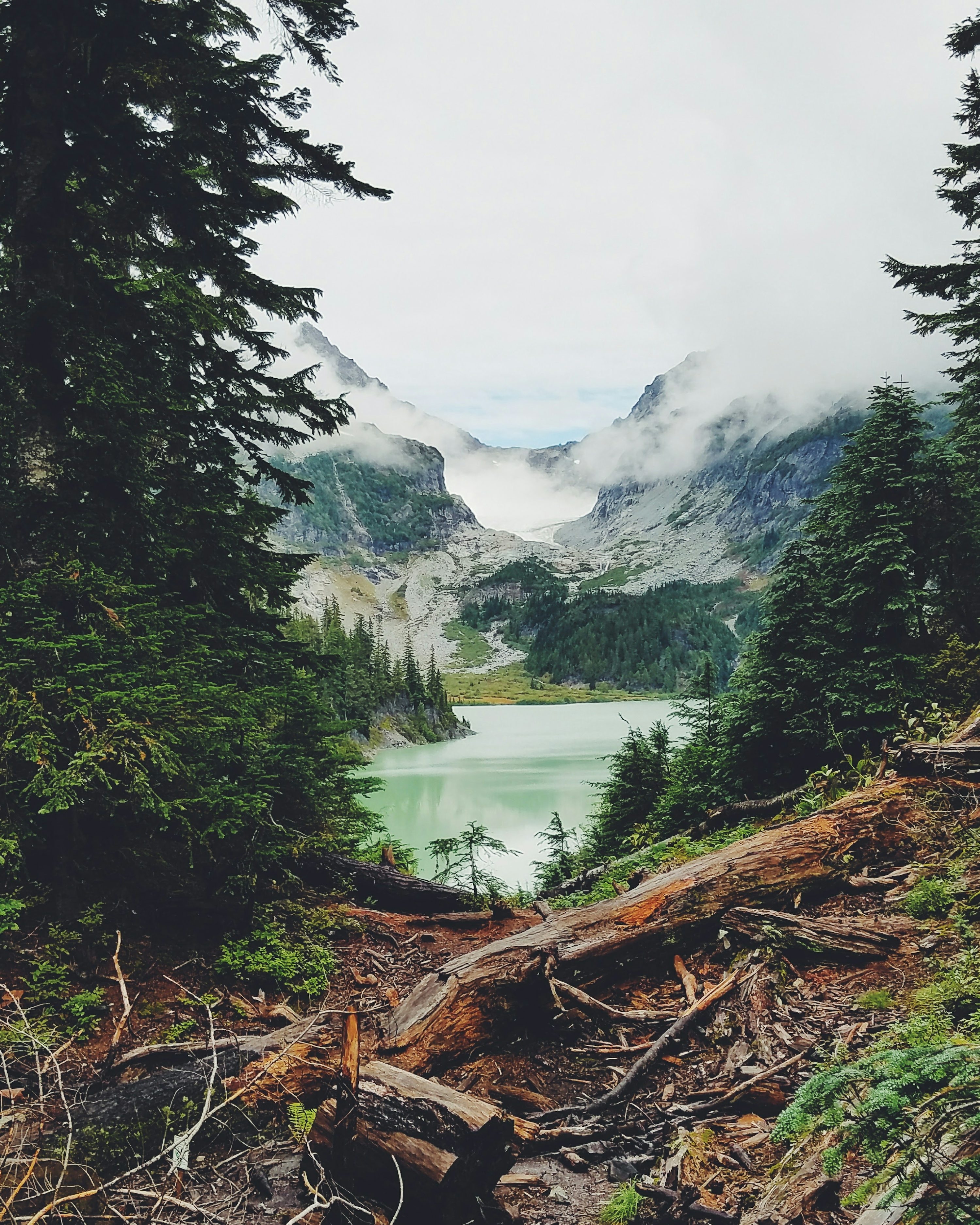 Landscape View Weathered Logs Misty Mountain Lake View
