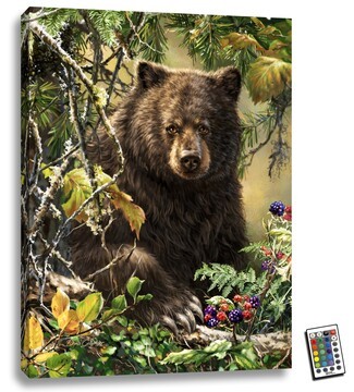 Led Canvas Art Remote Control Wildlife Portrait Illuminated Bear Art
