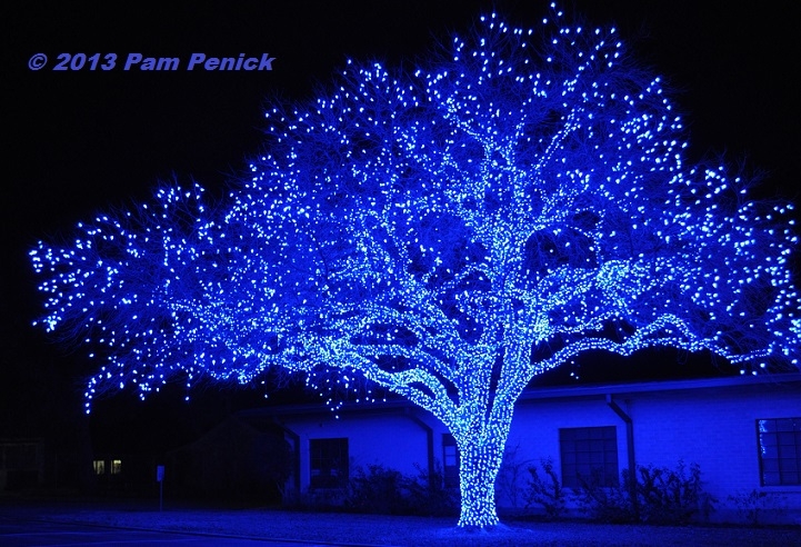 Lighted Tree Monochromatic Blue Holiday Tree Lighting