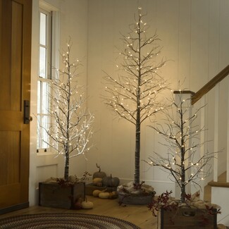 Lighted Trees Snowy Bark Winter Woodland Trees Decor