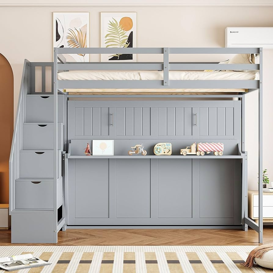 Loft Bed With Murphy Bed