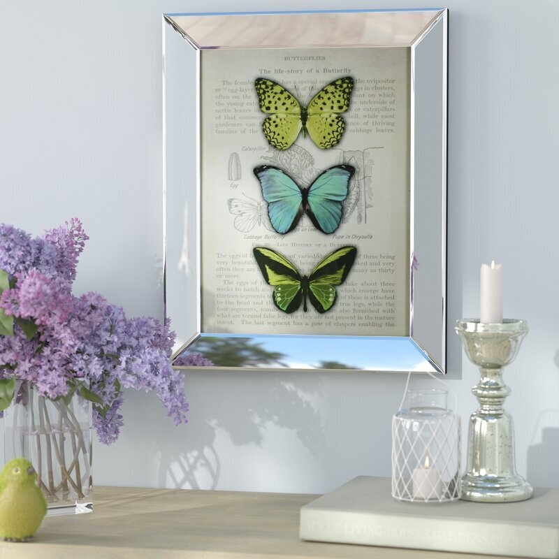Mirrored Picture Frame Butterfly Specimen Print Beveled