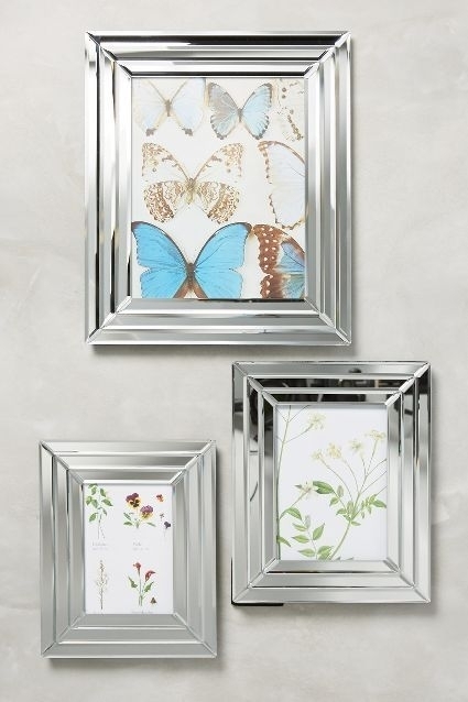 Mirrored Picture Frames Nature Prints Tiered Mirror Set