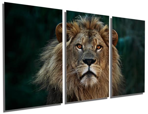 Multi Panel Wall Art Amber Eye Focal Point Metal Print