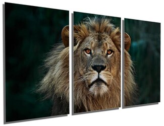 Multi Panel Wall Art Amber Eye Focal Point Metal Print