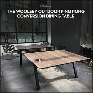 Ping Pong Dining Table with Slim Profile and Perforated Net