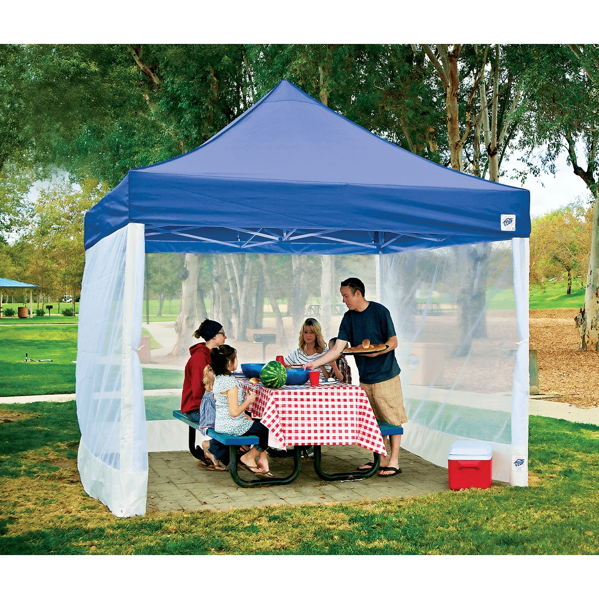 Recreational Canopy Royal Blue Straight Leg Picnic Shelter