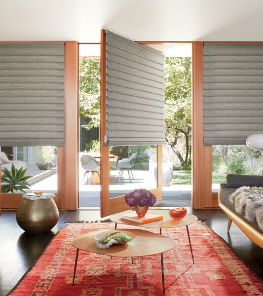Roman Shades: Wood Framed Doors Organic Modern Living Room