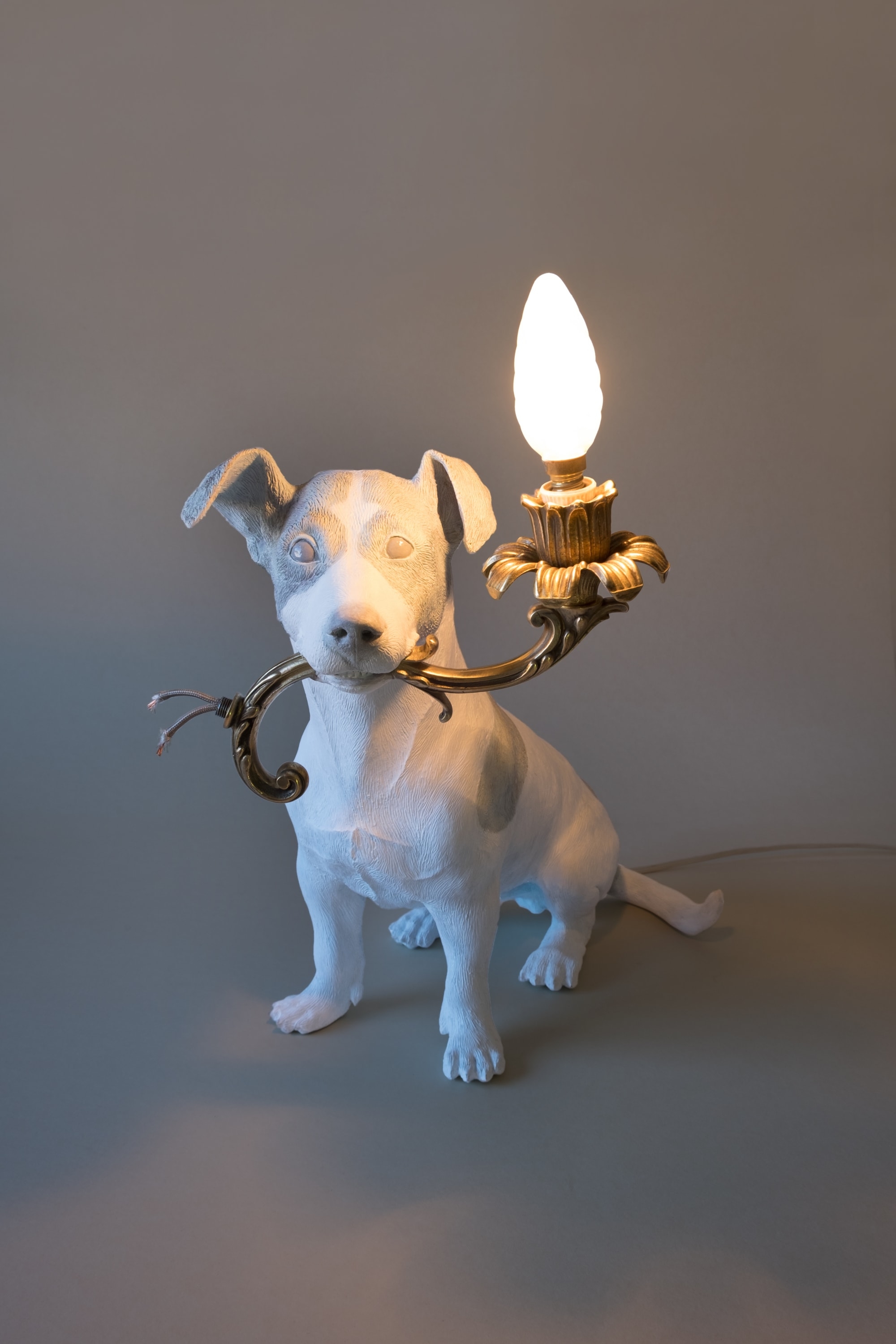 Dog With Lamp