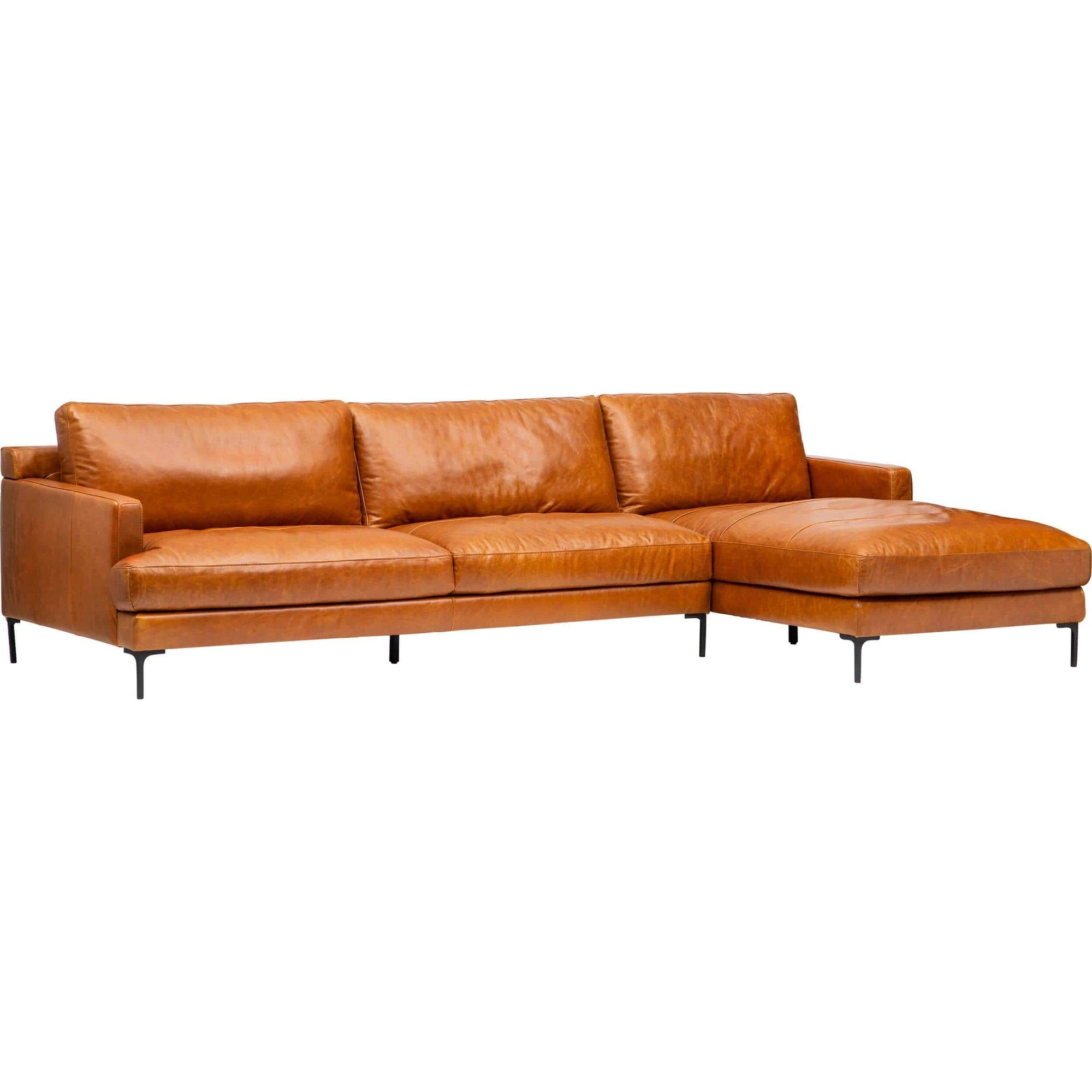 Camel Colored Couch
