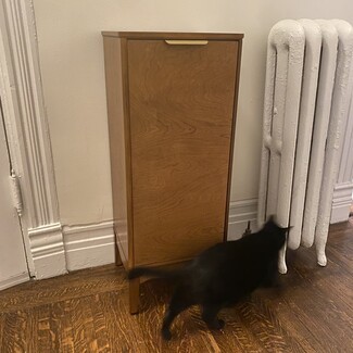 Tall Dresser with Gold Handle Wood Furniture Accents