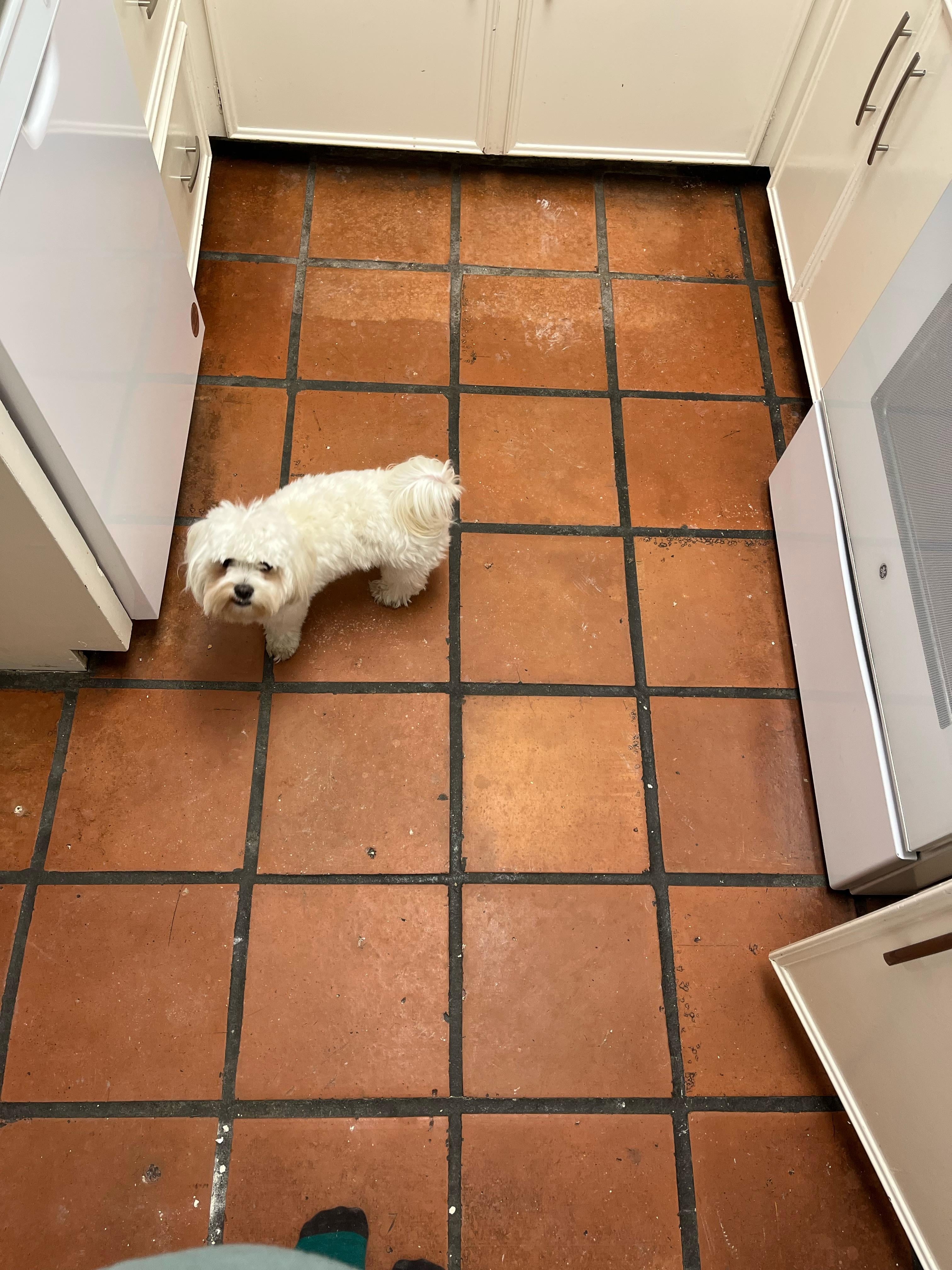 Terracotta Tile with Wide Charcoal Grout in 70s Style
