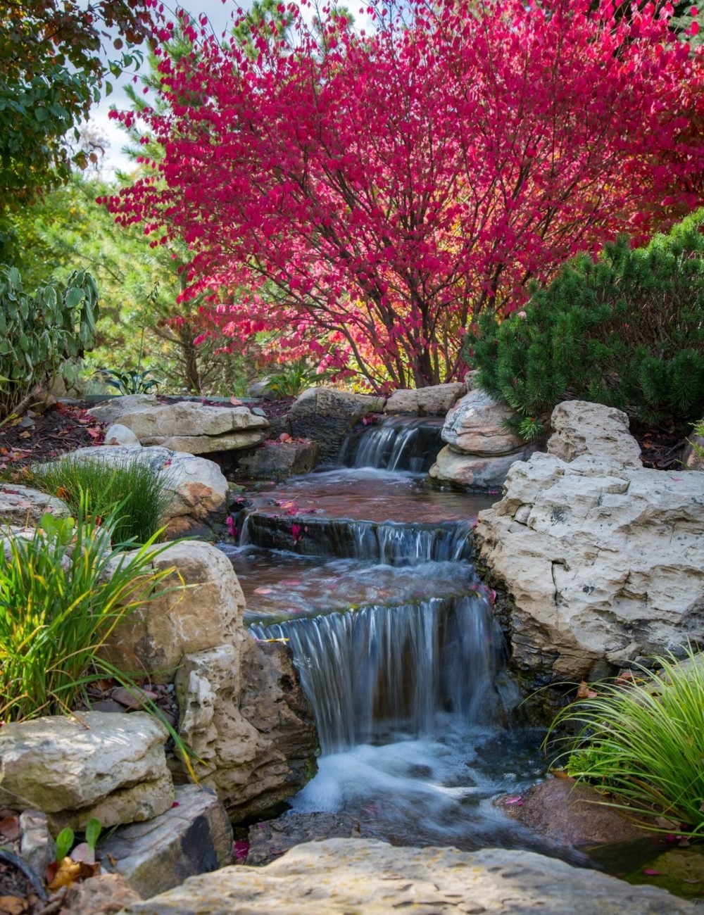 Tiered Waterfall: Magenta Foliage Porous Rock Feature