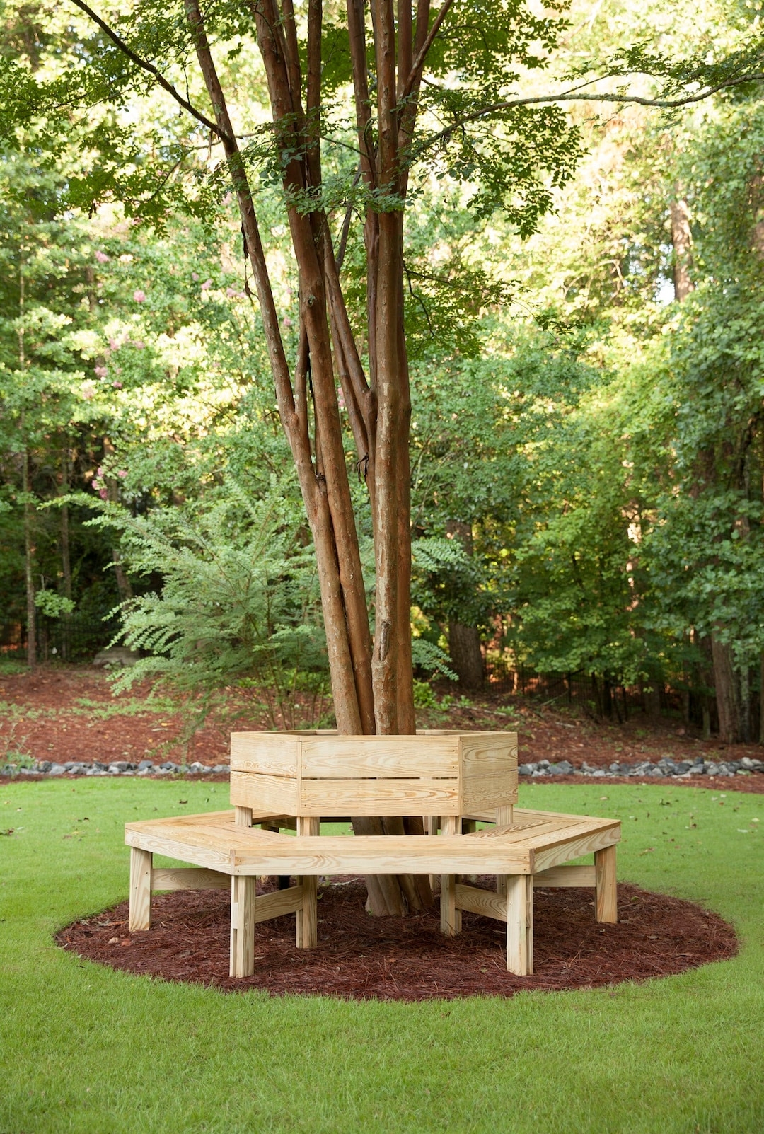 Tree Benches Ideas - VisualHunt