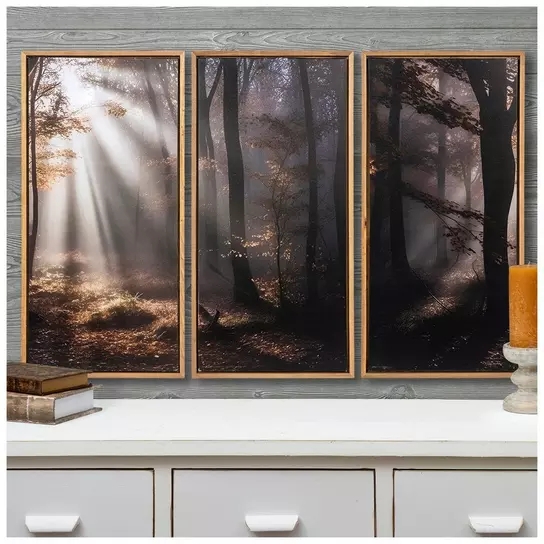 Wall Art Set: Misty Forest Landscape with Sunbeam Effect