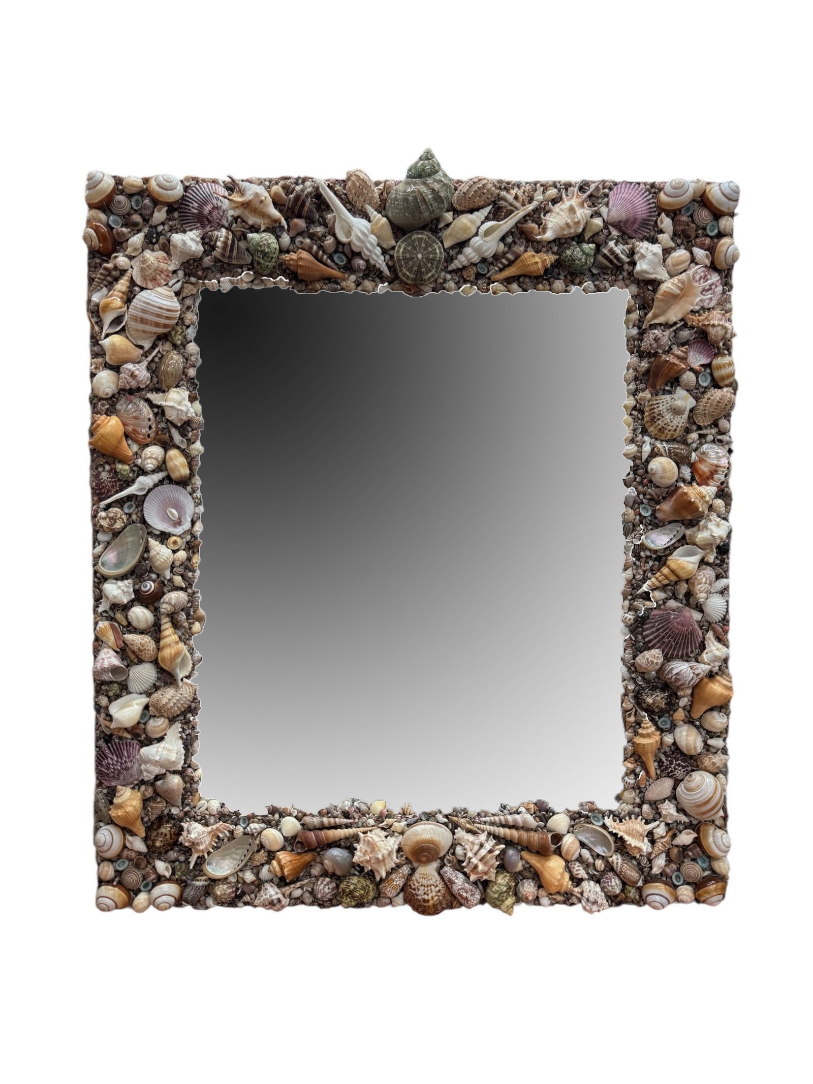 Wall Mirror: Shell Encrusted Frame Dense Mosaic Art