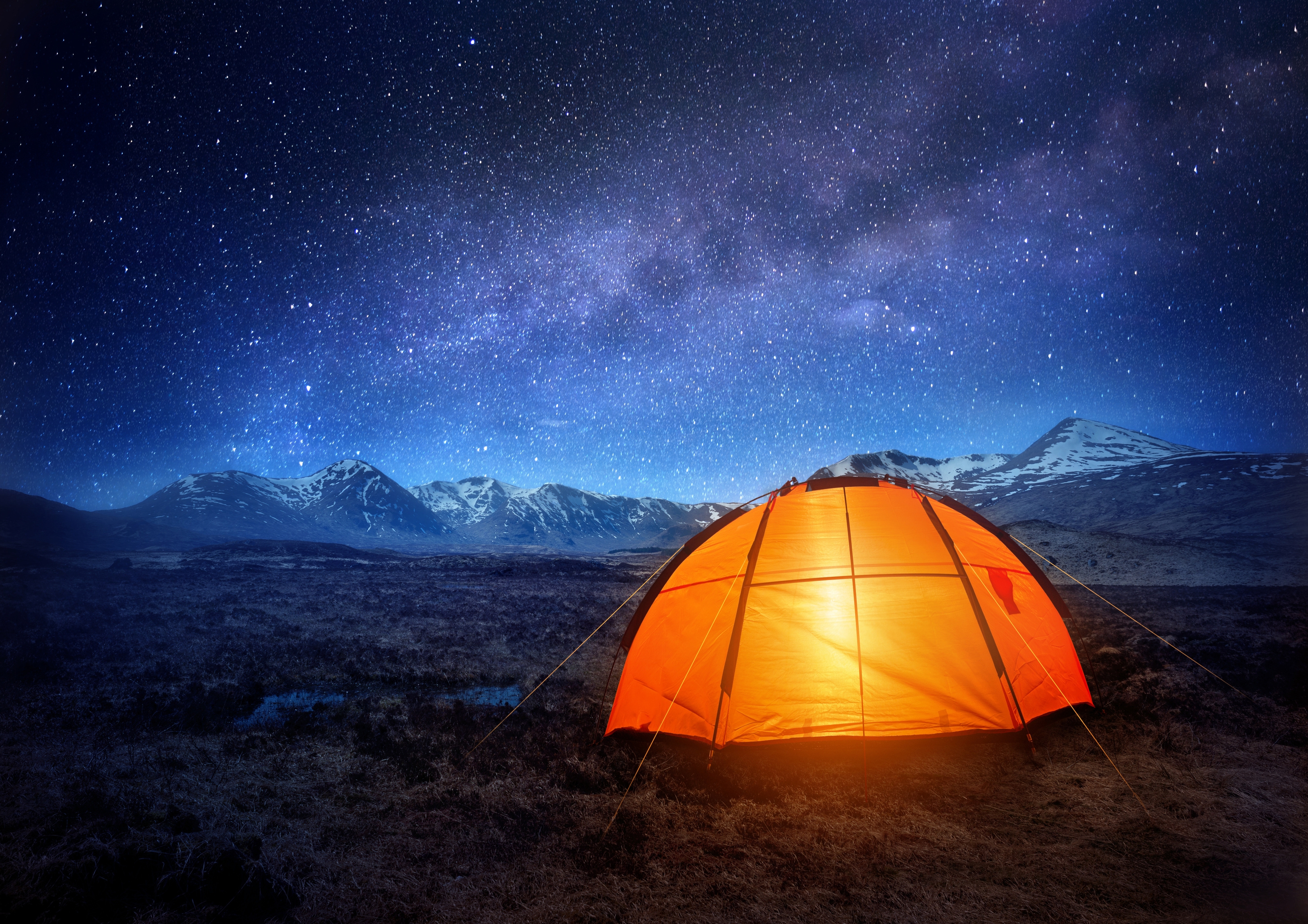 Wall Mural Celestial Backdrop Starry Night Wall Mural