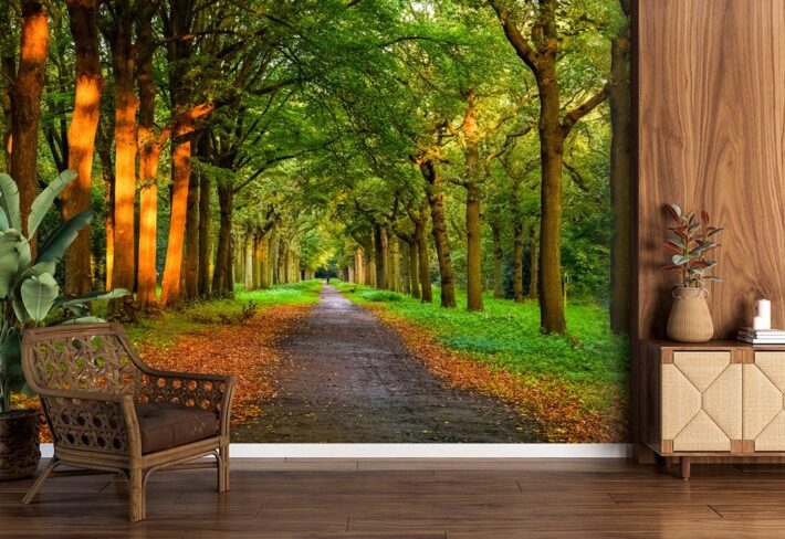 Wallpaper Mural Perspective Path Biophilic Wall Mural