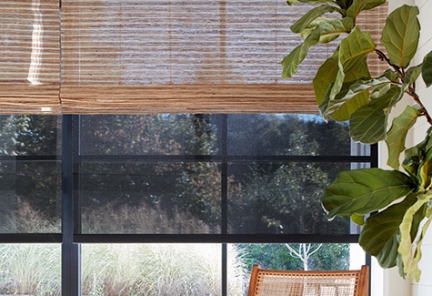 Window Shades: Layered Window Treatments Black Solar Mesh